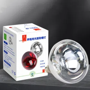 مصباح حراري و سقايات دواجن