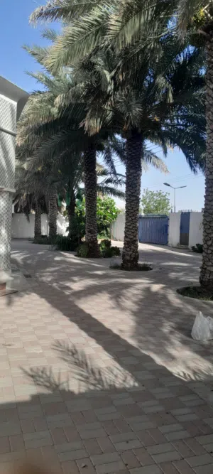 13456 m2 More than 6 bedrooms Townhouse for Sale in Al Dhahirah Ibri