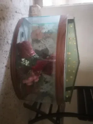حوض سمك زينة للبيع 80س×45س