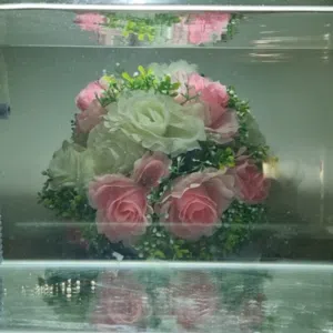 AQUARIUM