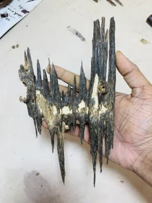 Hindi Silani Phillipini Oudh Available whole sale ant retail price