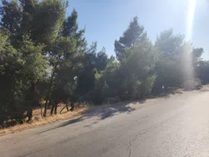 ارض للبيع في أجمل مناطق ماحص البويب الشرقي داخل التنظيم سكن ريفي