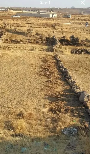 ‏1000 م٢ ‏.‏ المالك‏2