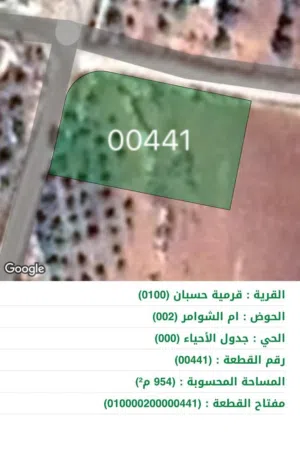 Residential Land for Sale in Amman Naour