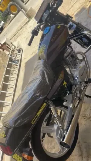 موتسكل هوجن 150