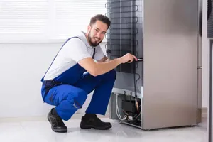 Appliances Repair Services . Refrigerators - Freezers1