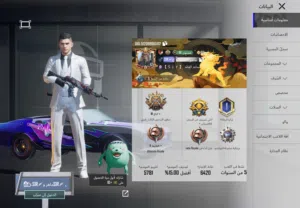 حساب ببجي للبيع