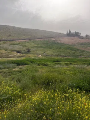 Residential Land for Sale in Zarqa Birayn