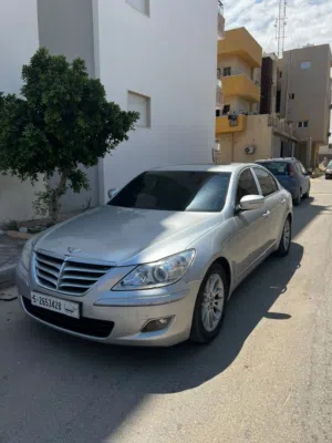 جنسيس 2010