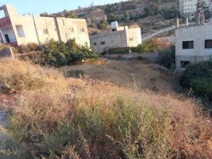 Residential Land for Sale in Amman Other