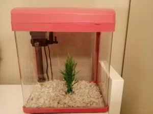 Fish Aquarium - حوض سمك