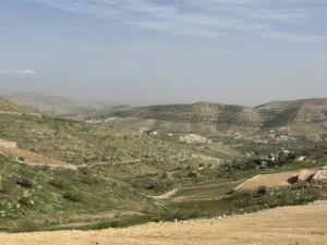 ارض للبيع بيرين 3400 m زراعية بسعر مميز استثمارية