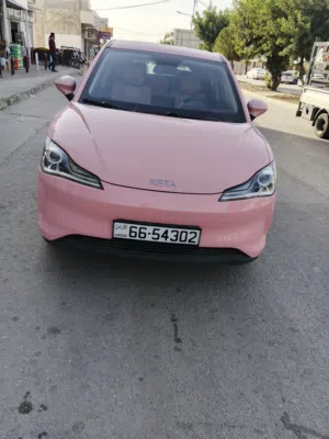 Used Neta V in Irbid