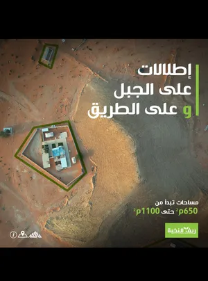 Farm Land for Sale in Al Muzahmiyya Other