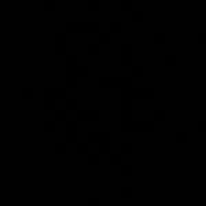 member-1718375333.345456 