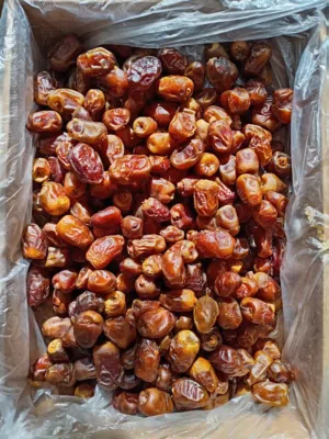 بلح سيوي رطب سكري انتاج شركة قطوف علب 5 كيلو وجودة مضمونة 100c/o