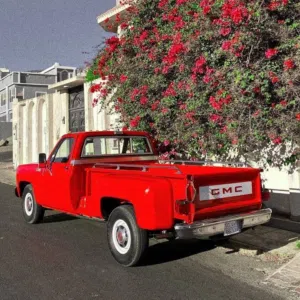 المنذر خاطر 