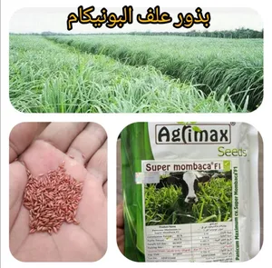 Animal Food . Farm Animals4