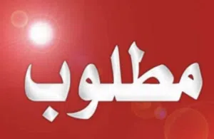 مطلوب ذكر مصري ماسح