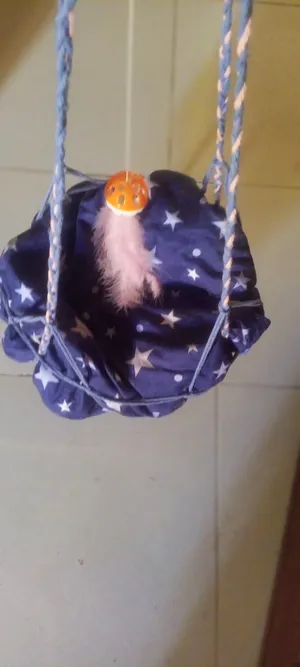 ‏إكسسوارات ‏.‏ قطط‏2