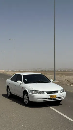 تورنق V6 2001