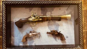 Gun pictures