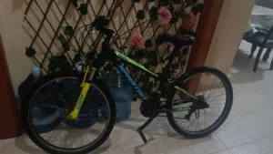 Spartan Galaxy Mountain Bike