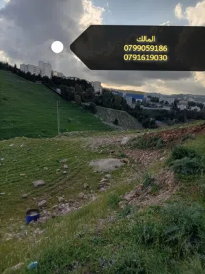 Residential Land for Sale in Salt Al Saro