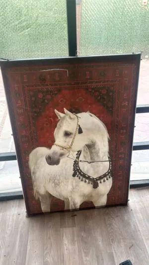 للبيع لوحه خيل جديدددده وجوده عاليه