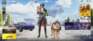 Pubg Accounts and Characters for Sale in Cairo