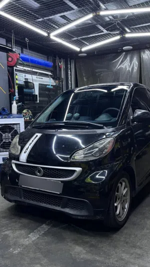 Smart 2014