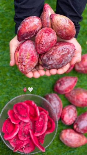 بيذام (لوز) توصيل الى باب بيت  حدود مسقط