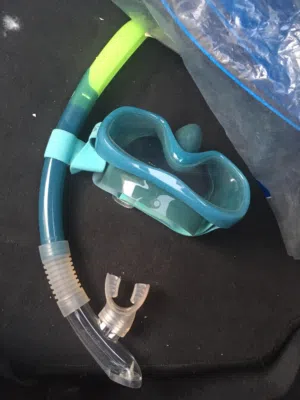 Snorkling staff