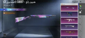 حساب ببجي.