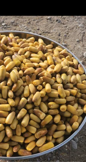 رطب فرش للبيع