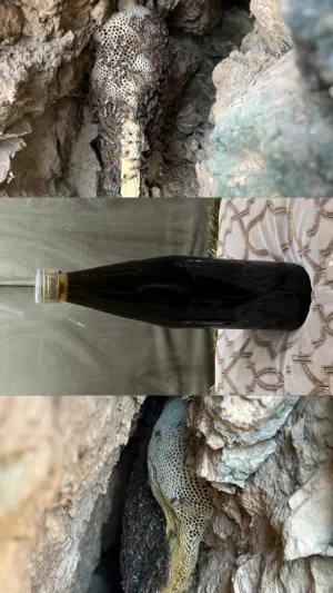 عسل محلي برم انتاج سنة 2025