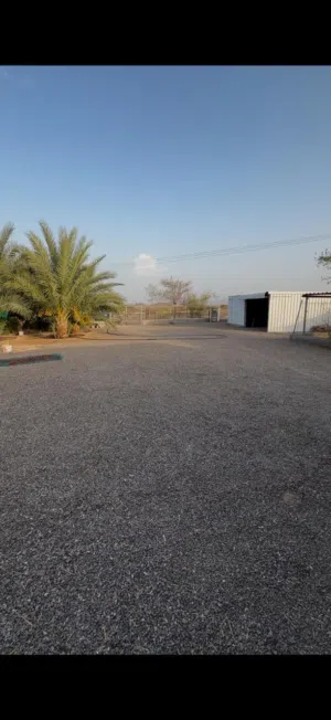 عزبة للبيع مع حلالها وعاملها للبيع في ولاية محضه