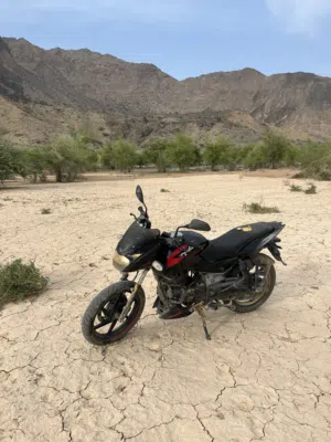 بجاج بولسر 150 انجتر
