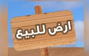 ققطعه في الكرك الدامخي على شارع عمان \العقبه \القطرانه الطريق الصحراوي _ 24028
