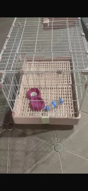 قفص ارانب Rabbit cage for sale