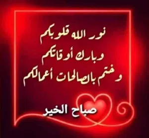 محمد محمود 