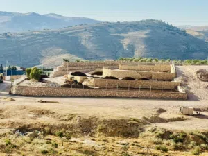 Mixed Use Land for Sale in Amman Mahes