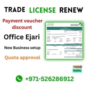 New business setup in Dubai company pro services
