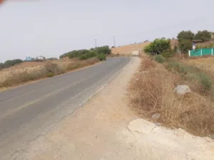 الاستخدام المتعدد . 1306 م٢ . المالك3