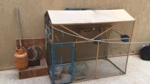 سزنة ربي يبارك البيع