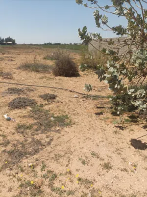قطعه ارض للبيع في الحمرونيه في قصر بن غشير في حي سكني كهربا ميه النهر واصله في القطعه