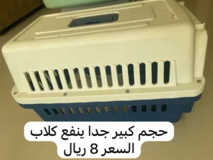 اغراض قطط للبيع في حاله ممتازه