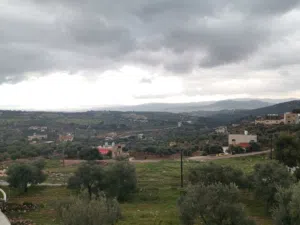 Farm Land for Sale in Salt Other
