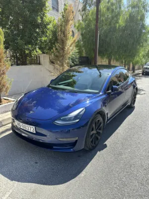 Tesla model 3 2021