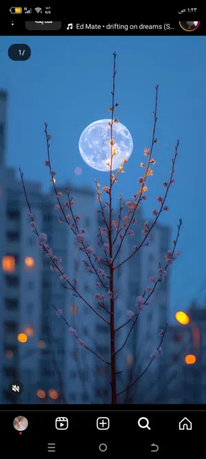 noor 